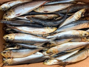 Горбуша теша (брюшки) холодного копчения: Сельдь Иваси х\к